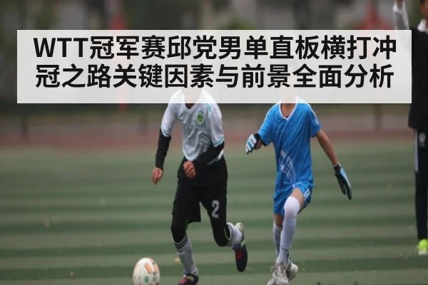 WTT冠军赛邱党男单直板横打冲冠之路关键因素与前景全面分析（hth）