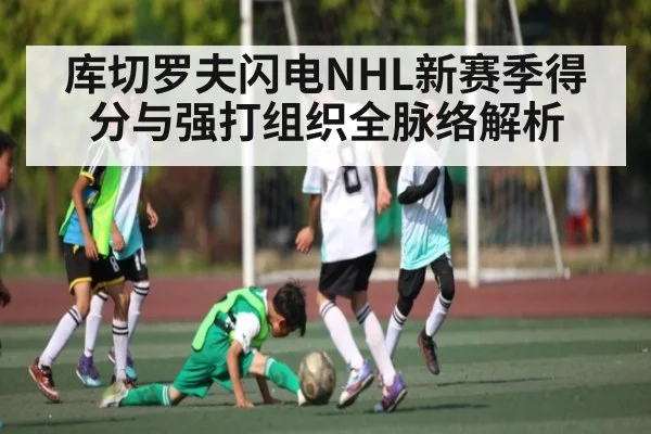 库切罗夫闪电NHL新赛季得分与强打组织全脉络解析